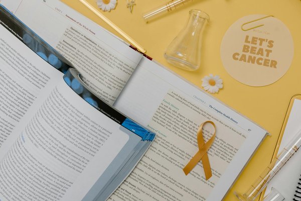 Innover dans les Soins Palliatifs : Découvertes Médicales Récentes et Impact Révolutionnaire